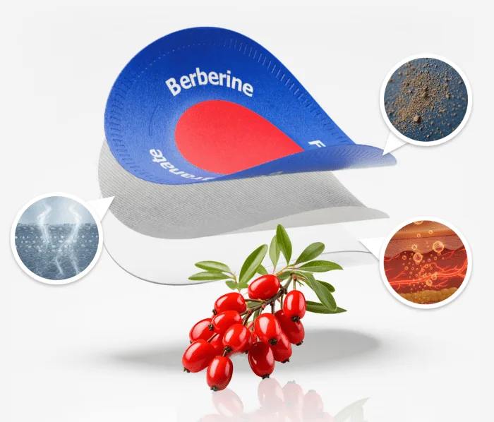 Purisaki Berberine Patch — New Packaging Improved Formula